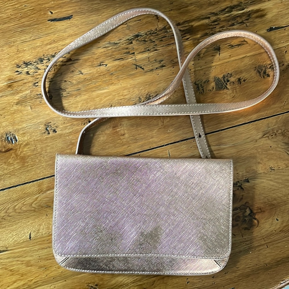 Banana Republic Pink Metallic Shimmer Purse/Clutch